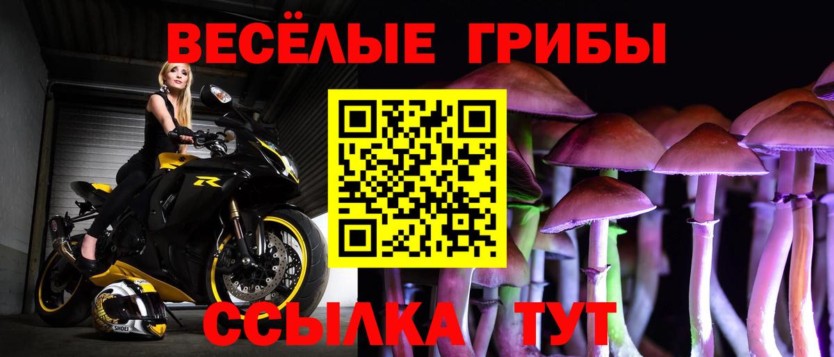 Псилоцибиновые грибы ЛСД Железногорск