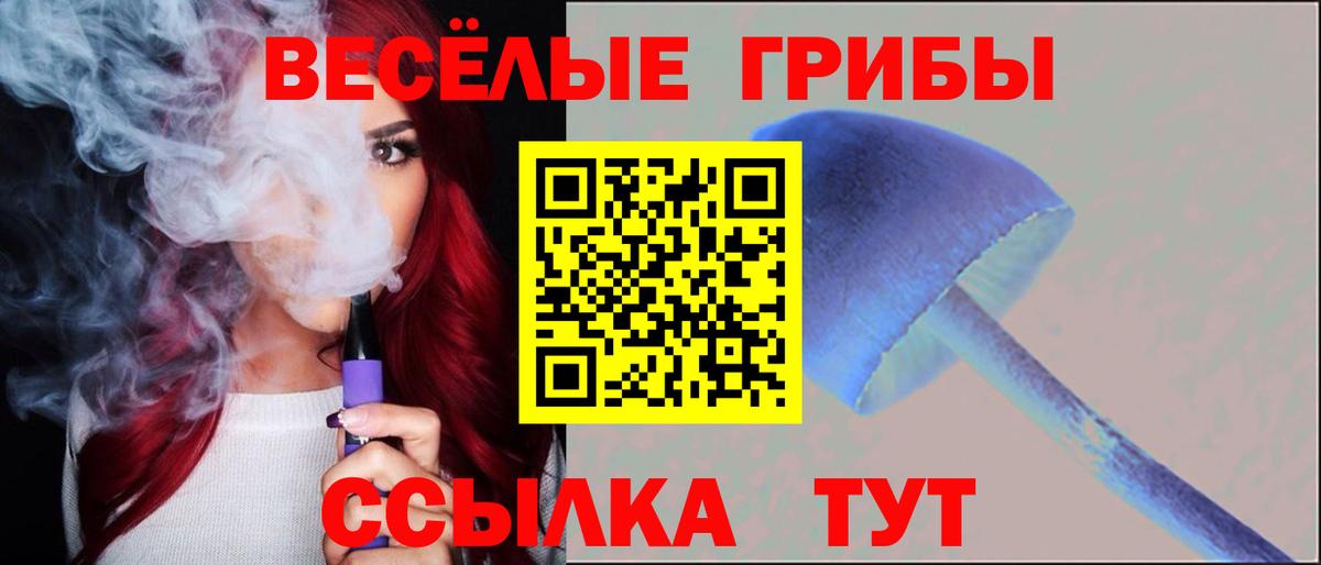 Псилоцибиновые грибы Psilocybine cubensis  Вход с VPN  Железногорск 